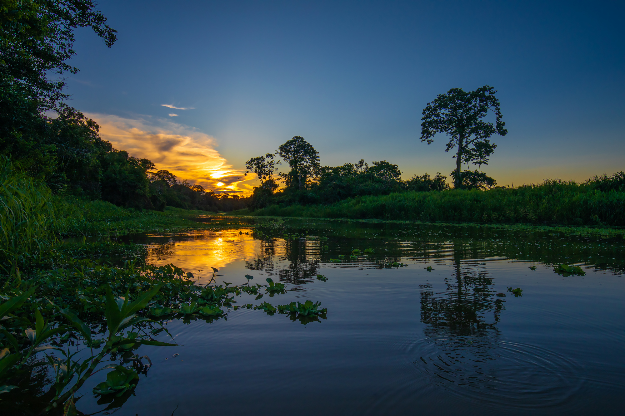 solnedgång Grand Amazon Lodge
